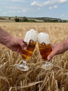 nitrogen generator for breweries