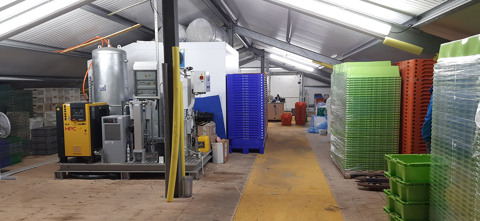 Oxygen generator for fish