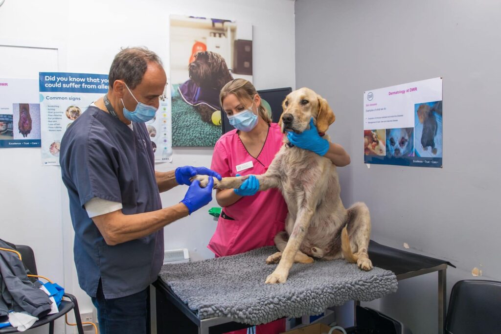 Dick White Referrals Vet Clinic